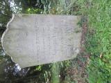 image of grave number 540229